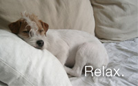 Relax