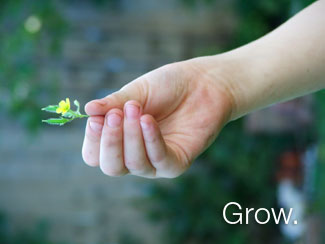 Grow.