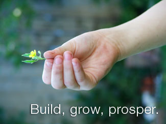Build, grow, prosper