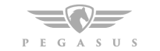 Pegasus logo