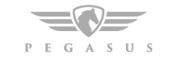 Pegasus logo