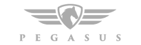 Pegasus logo